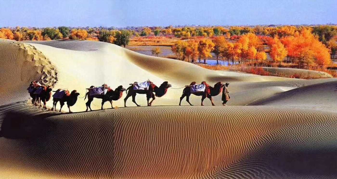 Taklamakan Desert 